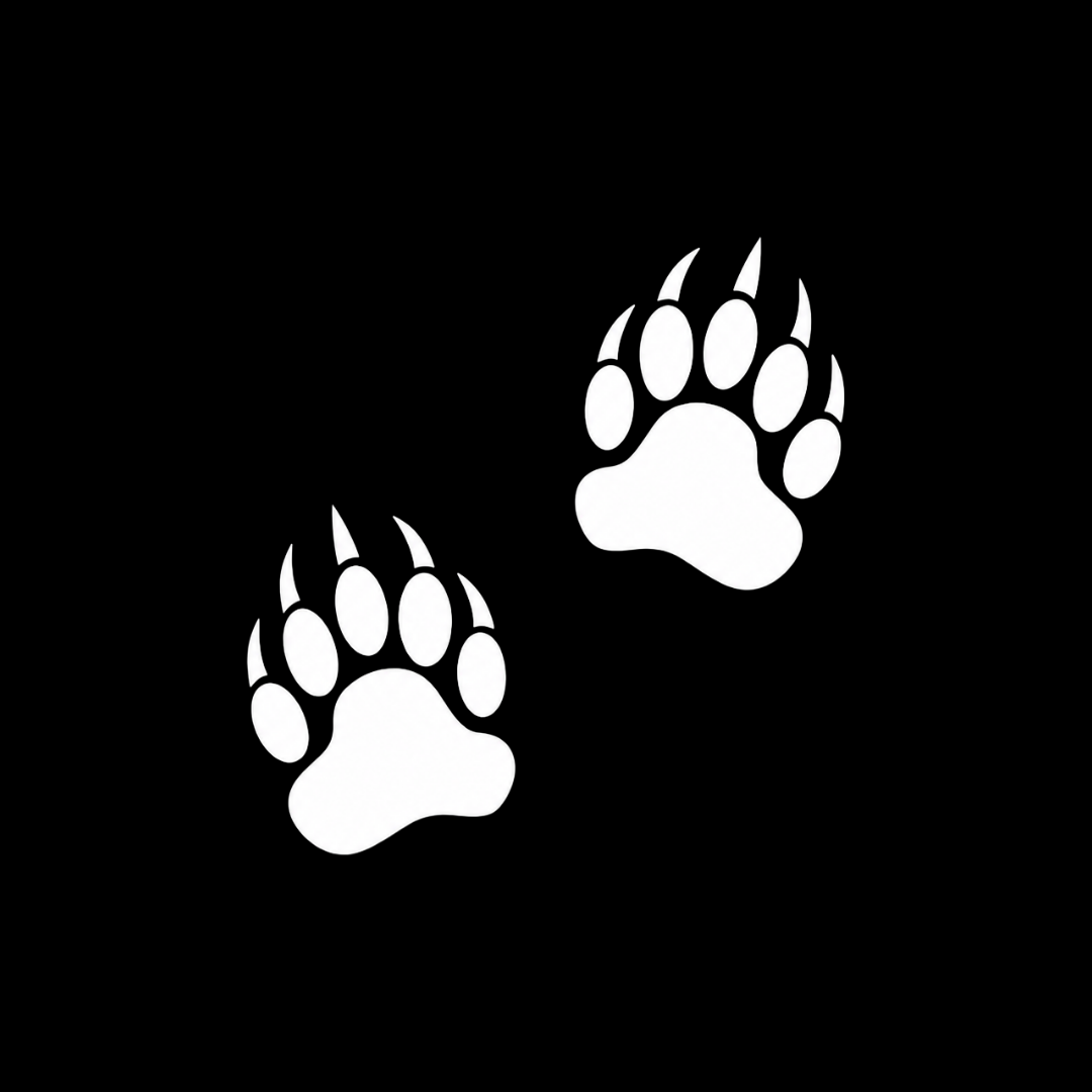 Bear Paws