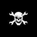 Skull V1